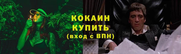 кокс Алексин